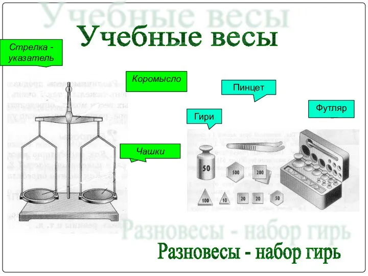 Учебные весы Коромысло Стрелка - указатель Чашки Разновесы - набор гирь Гири Пинцет Футляр