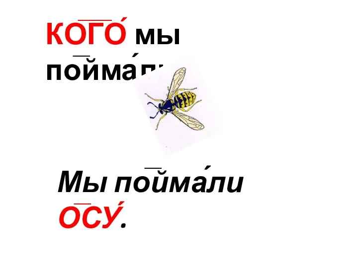 КО̅Г̅О́ мы по̅йма́ли? Мы по̅йма́ли О̅СУ́.