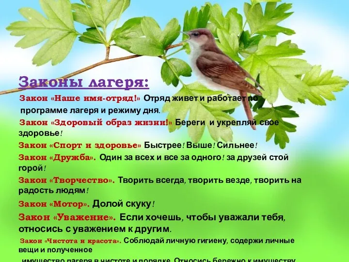 Законы лагеря: Закон «Наше имя-отряд!» Отряд живет и работает по программе