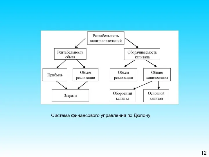 12 Система финансового управления по Дюпону