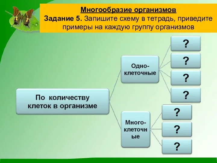 Многообразие организмов Задание 5. Запишите схему в тетрадь, приведите примеры на каждую группу организмов