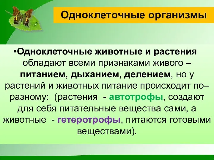 Одноклеточные животные и растения обладают всеми признаками живого –питанием, дыханием, делением,