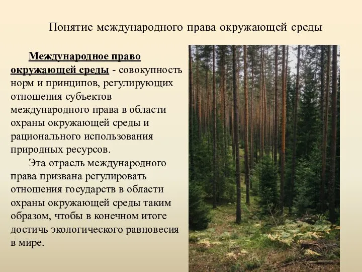 Понятие международного права окружающей среды Международное право окружающей среды - совокупность