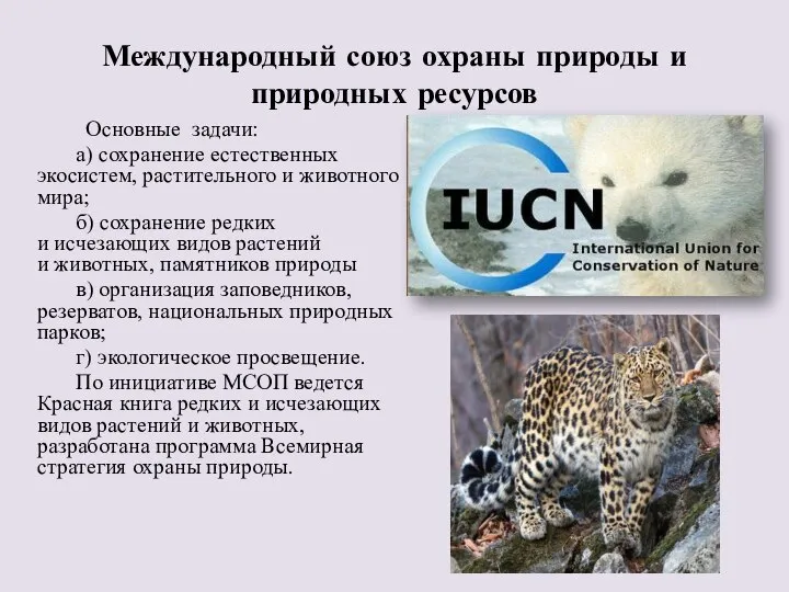 Международный союз охраны природы и природных ресурсов Основные задачи: а) сохранение