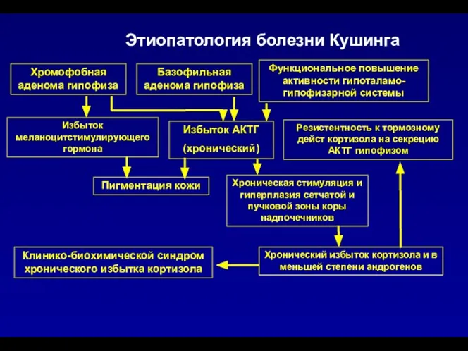 Хромофобная аденома гипофиза Этиопатология болезни Кушинга Базофильная аденома гипофиза Функциональное повышение