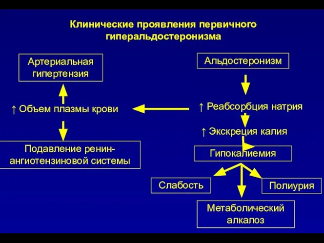 Клинические проявления первичного гиперальдостеронизма Артериальная гипертензия Альдостеронизм ↑ Объем плазмы крови