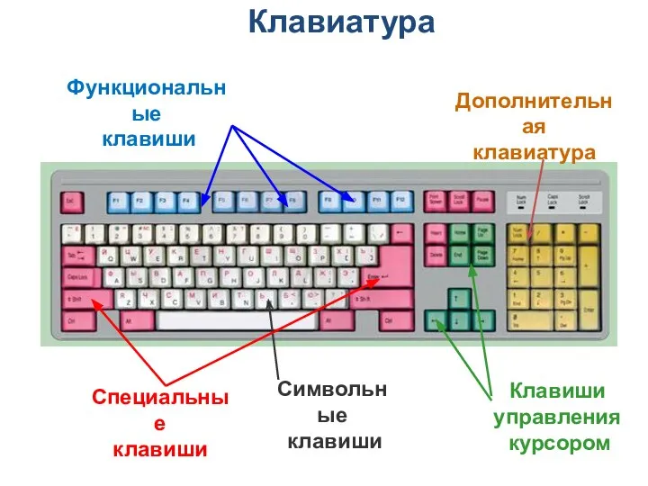 Функциональные клавиши Символьные клавиши Клавиши управления курсором Дополнительная клавиатура Специальные клавиши Клавиатура