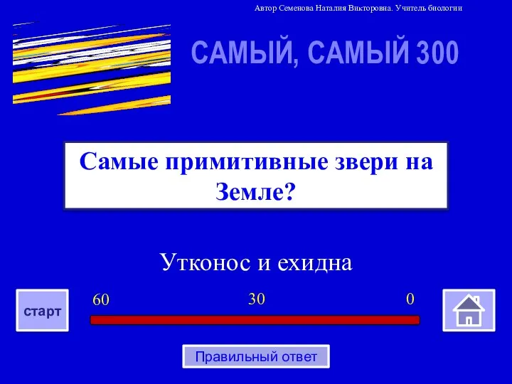 Утконос и ехидна Самые примитивные звери на Земле? САМЫЙ, САМЫЙ 300