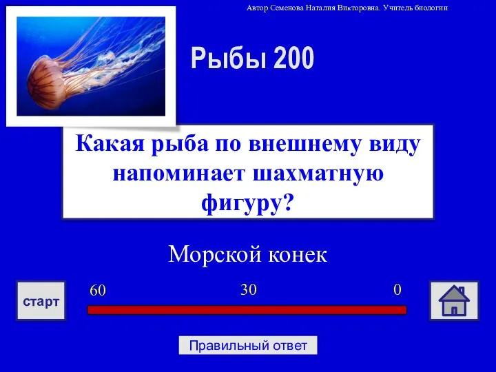 Морской конек Какая рыба по внешнему виду напоминает шахматную фигуру? Рыбы