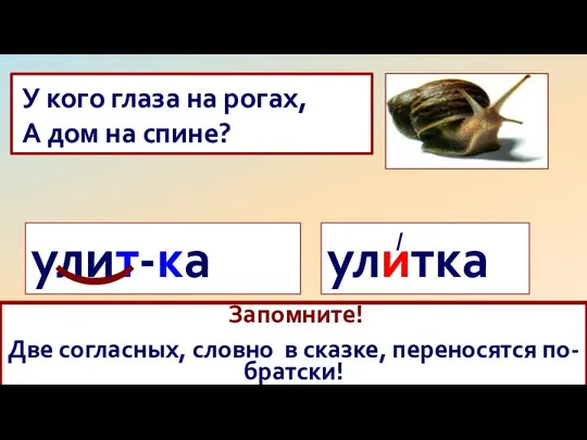 У кого глаза на рогах, А дом на спине? улитка /