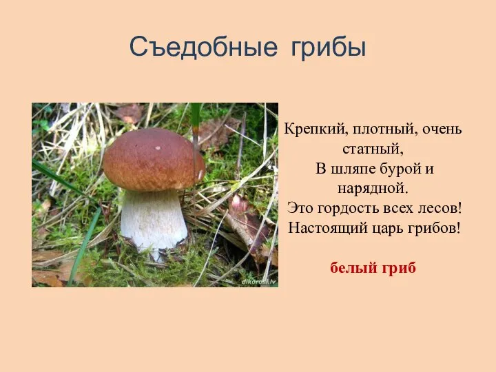 Съедобные грибы Крепкий, плотный, очень статный, В шляпе бурой и нарядной.