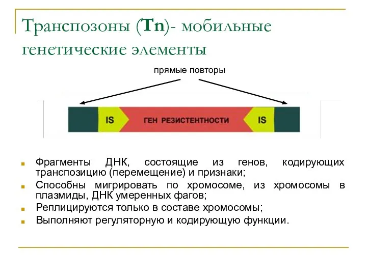 Транспозоны (Tn)- мобильные генетические элементы Фрагменты ДНК, состоящие из генов, кодирующих