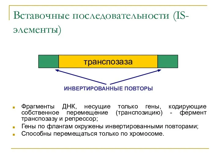 Вставочные последовательности (IS-элементы) Фрагменты ДНК, несущие только гены, кодирующие собственное перемещение