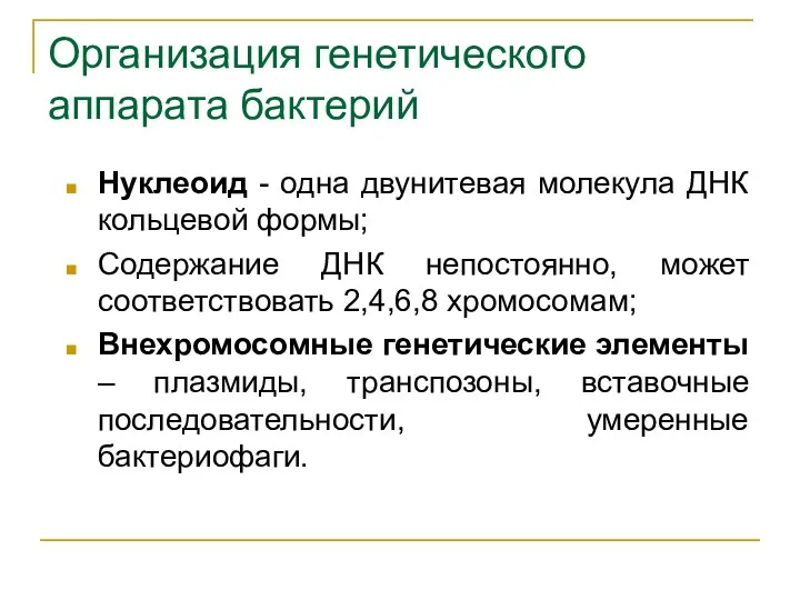 Организация генетического аппарата бактерий Нуклеоид - одна двунитевая молекула ДНК кольцевой