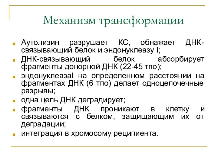 Механизм трансформации Аутолизин разрушает КС, обнажает ДНК-связывающий белок и эндонуклеазу I;