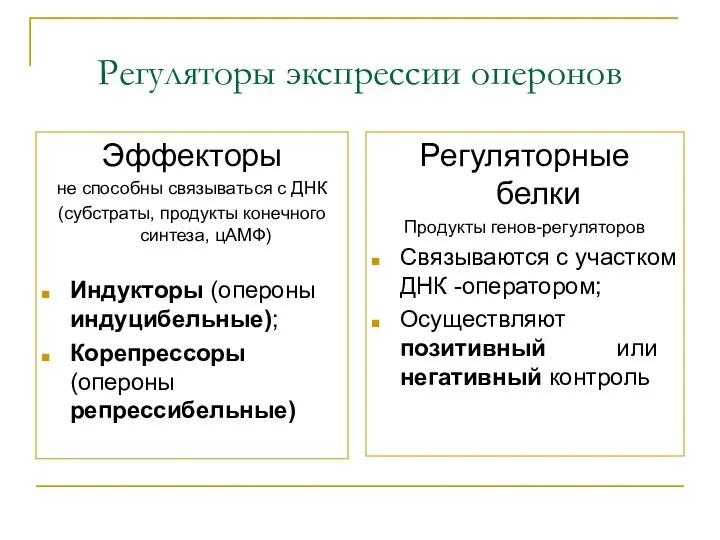 Регуляторы экспрессии оперонов Регуляторные белки Продукты генов-регуляторов Связываются с участком ДНК