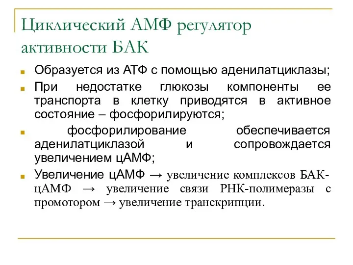 Циклический АМФ регулятор активности БАК Образуется из АТФ с помощью аденилатциклазы;