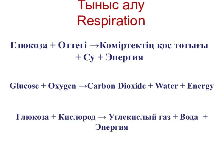 Тыныс алу Respiration Glucose + Oxygen →Carbon Dioxide + Water +