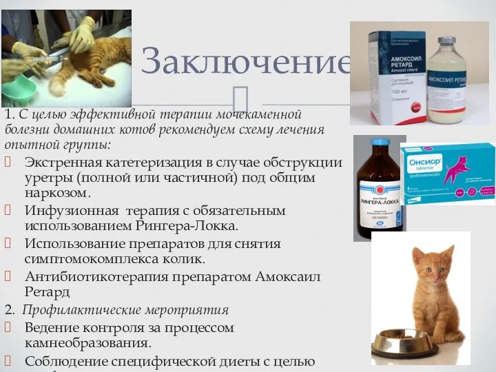 Заключение 1. С целью эффективной терапии мочекаменной болезни домашних котов рекомендуем