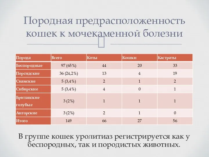 В группе кошек уролитиаз регистрируется как у беспородных, так и породистых