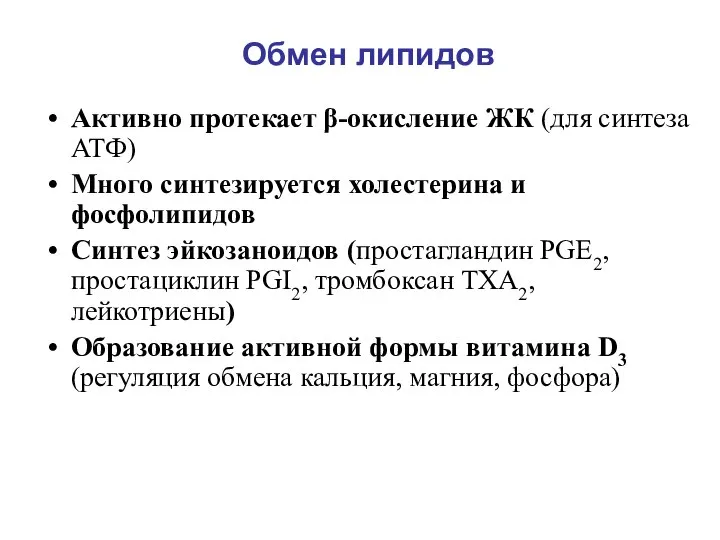 Активно протекает β-окисление ЖК (для синтеза АТФ) Много синтезируется холестерина и