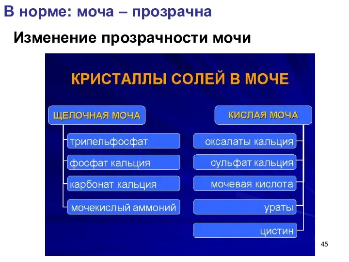 Изменение прозрачности мочи В норме: моча – прозрачна