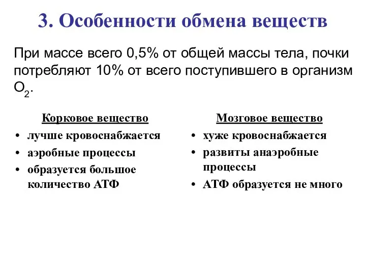 3. Особенности обмена веществ Корковое вещество лучше кровоснабжается аэробные процессы образуется