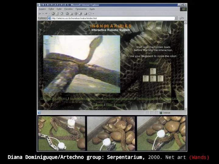 Diana Dominiguque/Artechno group: Serpentarium, 2000. Net art (Wands)