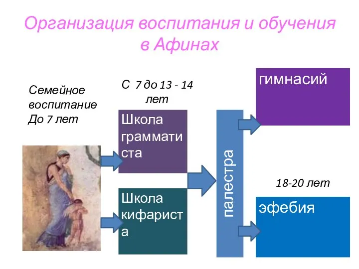 Организация воспитания и обучения в Афинах Школа грамматиста эфебия Школа кифариста