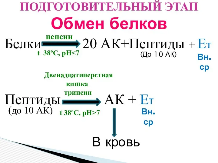 Белки 20 АК+Пептиды + Ет Пептиды АК + Ет ПОДГОТОВИТЕЛЬНЫЙ ЭТАП