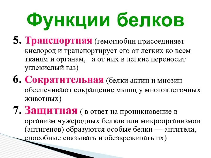 5. Транспортная (гемоглобин присоединяет кислород и транспортирует его от легких ко