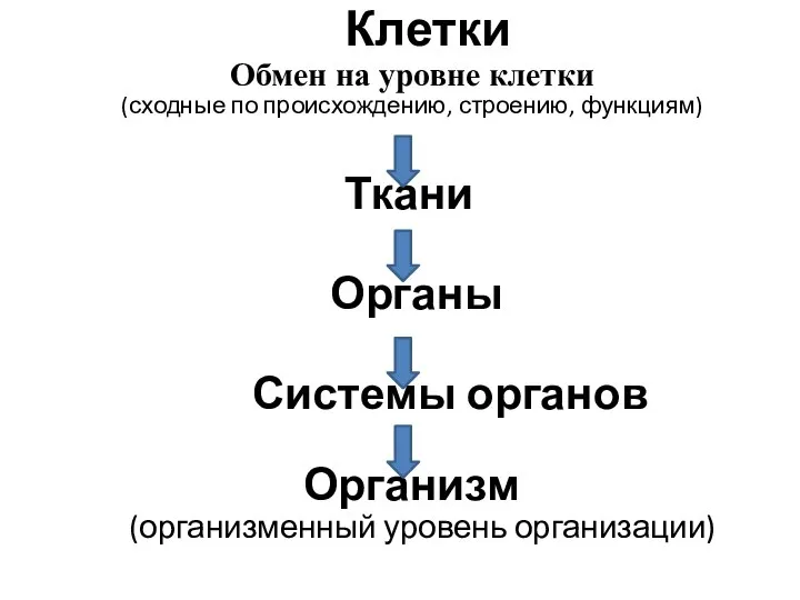 Клетки Обмен на уровне клетки (сходные по происхождению, строению, функциям) Ткани