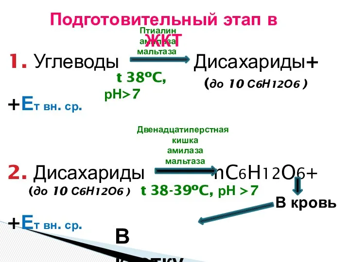 1. Углеводы Дисахариды+ (до 10 С6Н12О6 ) +Ет вн. ср. 2.