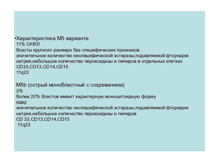 Характеристика М5 варианта 11% ОНЛЛ бласты крупного размера без специфических признаков