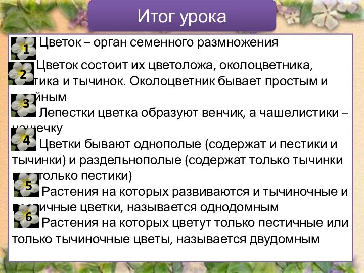 Цветок – орган семенного размножения Цветок состоит их цветоложа, околоцветника, пестика