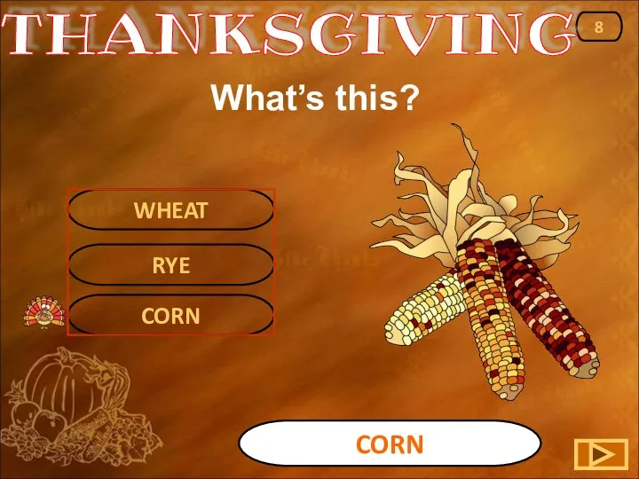 CORN CORN 8 WHEAT RYE THANKSGIVING What’s this?