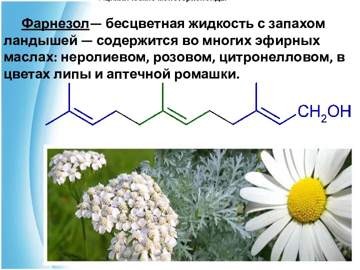 Ациклические монотерпеноиды Фарнезол— бесцветная жидкость с запахом ландышей — содержится во