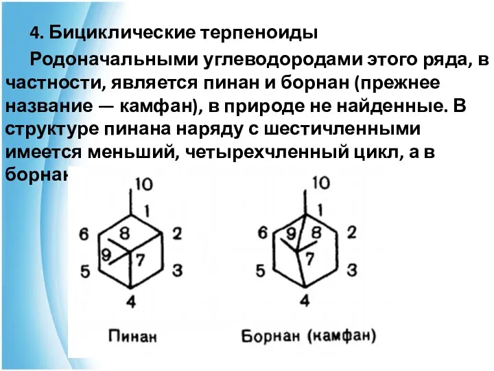 4. Бициклические терпеноиды Родоначальными углеводородами этого ряда, в частности, является пинан