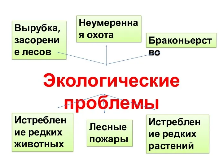 Экологические проблемы Вырубка, засорение лесов Неумеренная охота Браконьерство Лесные пожары Истребление редких животных Истребление редких растений