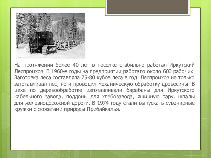 На протяжении более 40 лет в поселке стабильно работал Иркутский Леспромхоз.