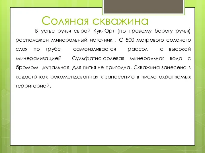 Соляная скважина В устье ручья сырой Кук-Юрт (по правому берегу ручья)