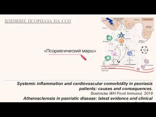 «Псориатический марш» Systemic inflammation and cardiovascular comorbidity in psoriasis patients: causes