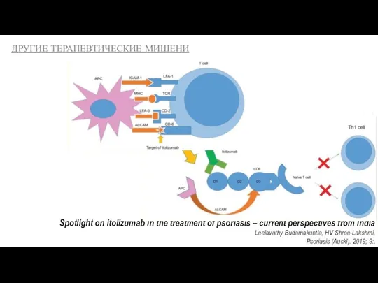 Spotlight on itolizumab in the treatment of psoriasis – current perspectives