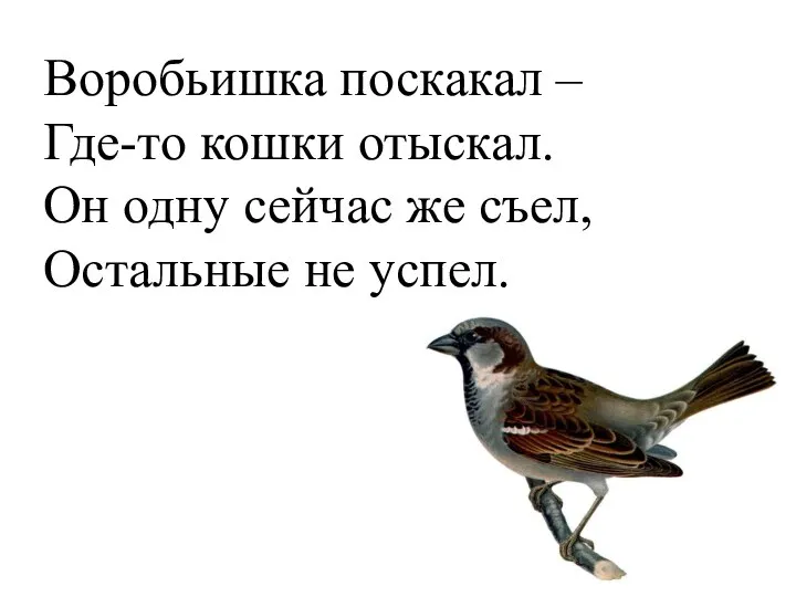 Воробьишка поскакал – Где-то кошки отыскал. Он одну сейчас же съел, Остальные не успел.