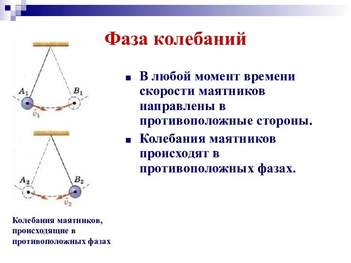 Фаза колебаний В любой момент времени скорости маятников направлены в противоположные