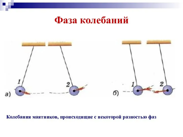 Фаза колебаний Колебания маятников, происходящие с некоторой разностью фаз