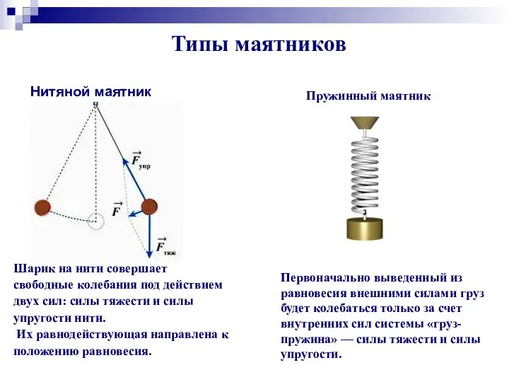 Типы маятников Шарик на нити совершает свободные колебания под действием двух