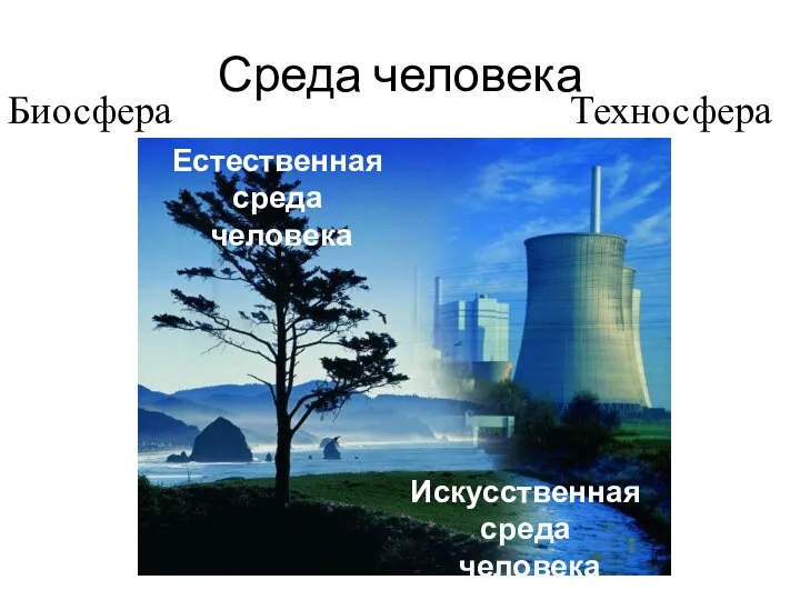 Среда человека Биосфера Техносфера Естественная среда человека Искусственная среда человека