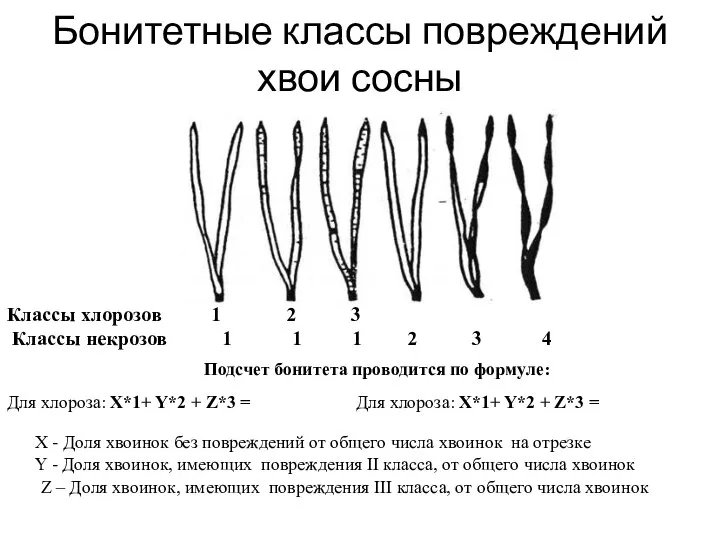 Бонитетные классы повреждений хвои сосны Классы хлорозов 1 2 3 Классы