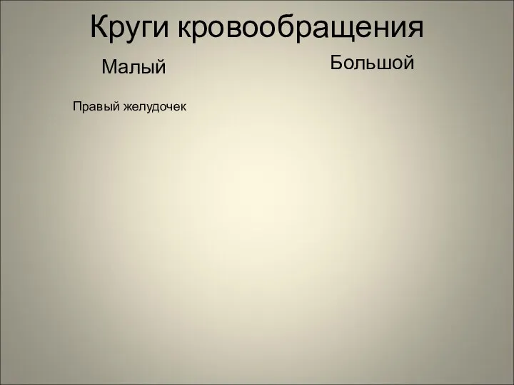 Круги кровообращения Малый Большой Правый желудочек